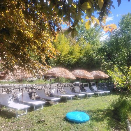 Domaine Des Petites Soeurs A 800M Du Centre Historique Avec 5200M2 De Parc Arbore Ванс Екстер'єр фото
