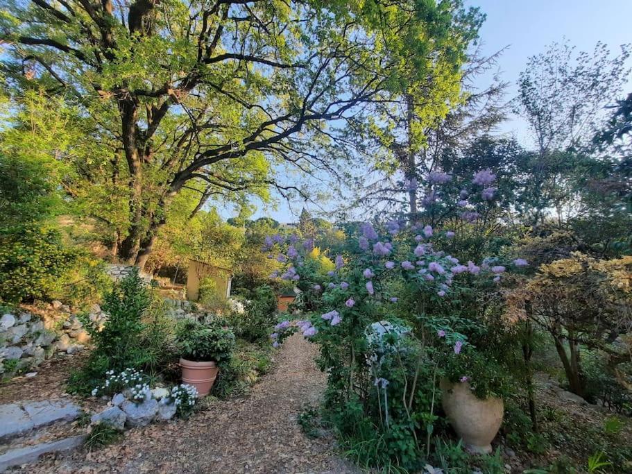 Domaine Des Petites Soeurs A 800M Du Centre Historique Avec 5200M2 De Parc Arbore Ванс Екстер'єр фото